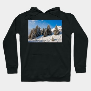 Courchevel 3 Valleys French Alps France Hoodie